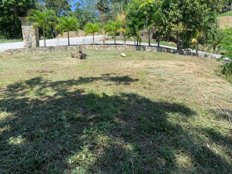 122636660 179369200471019 1406416616940365082 n